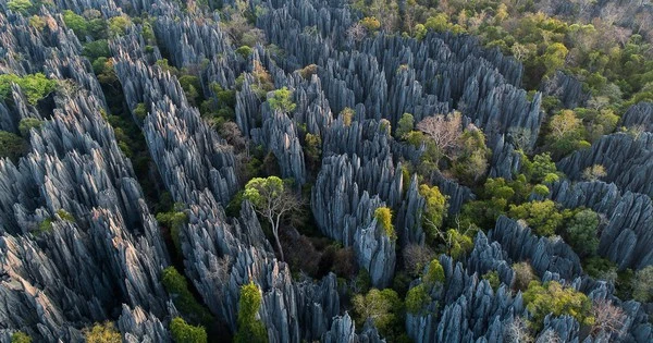 Mục sở thị khu rừng đá dựng đứng, sắc như lưỡi dao