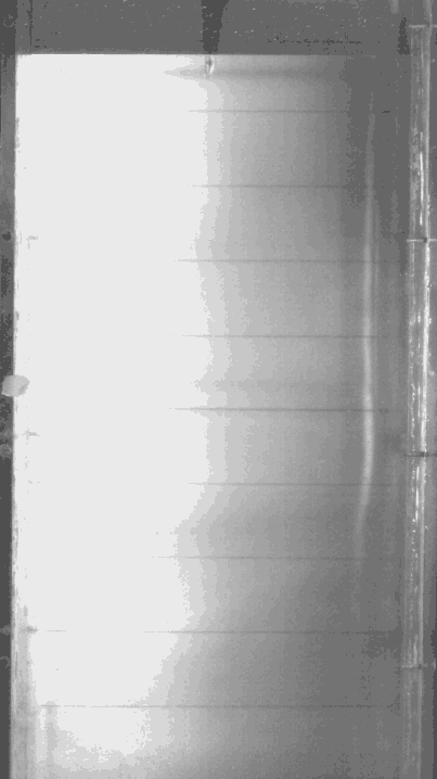 Chim dien co the lao thang xuong duoi nuoc voi toc do 86km/h-Hinh-5