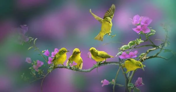 4 con giáp tạm biệt cuộc sống độc thân, nghèo khó trong năm 2022