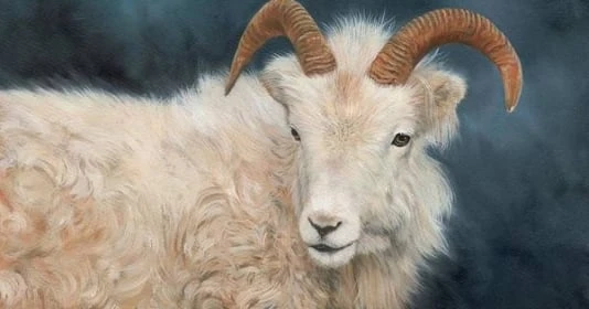 Nhà có 4 con giáp này nửa cuối năm 2022 tiền tài viên mãn