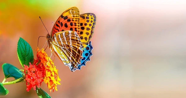 3 con giáp bước qua tháng 6 Âm lịch 1 cách mỹ mãn