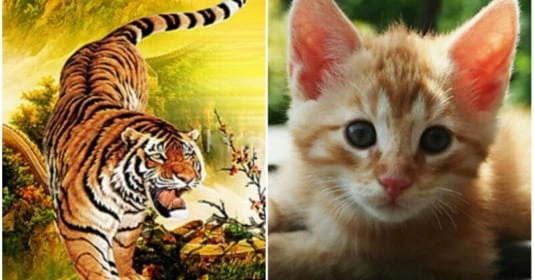 Từ giữa tháng 3 dương: 3 con giáp vận may liên tiếp, gánh vàng còng lưng 