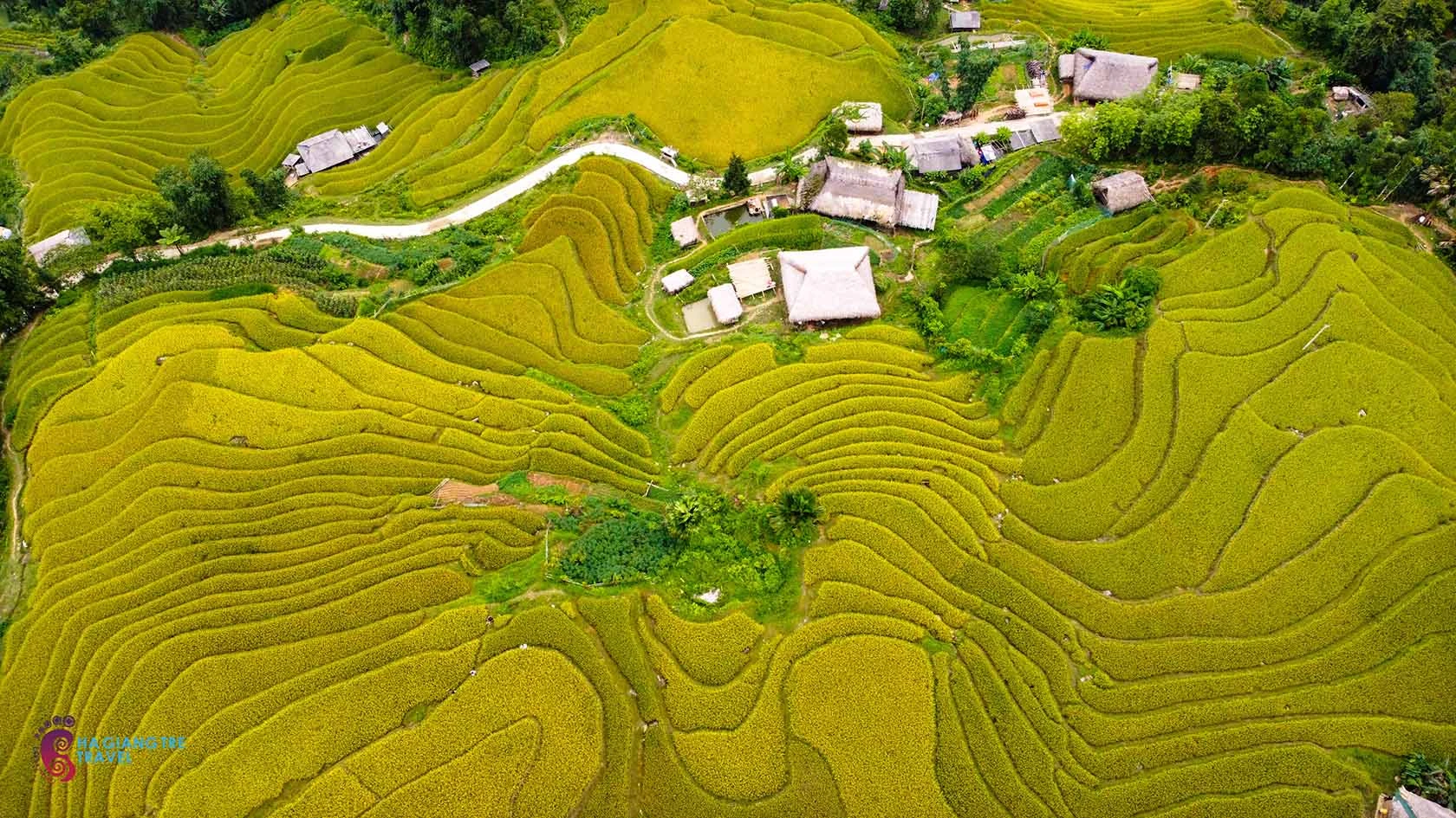 Đến Xà Phìn ngắm lúa vàng, thăm những mái nhà phủ rêu xanh