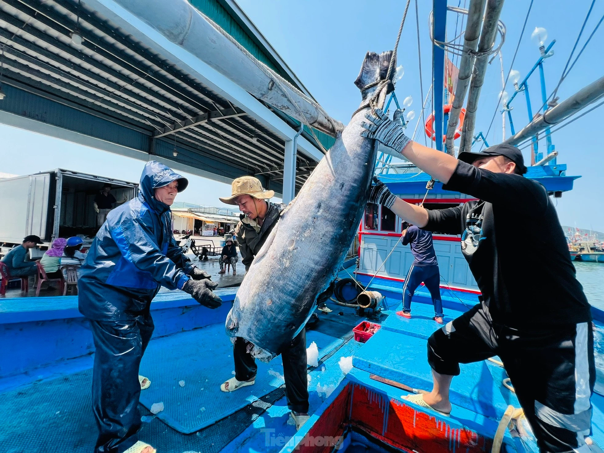 Vui buồn ngư dân Quảng Ngãi xuyên Tết trên biển trở về