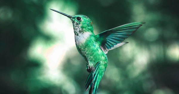 Tháng 8 Âm, 4 con giáp kiếm tiền vui vẻ, tương lai sung túc