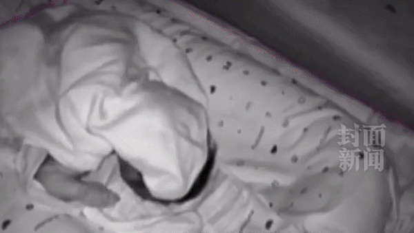 Mở camera ra xem thấy cảnh đáng sợ, mẹ cứu con thoát chết Mo camera ra xem thay canh dang so, me cuu con thoat chet