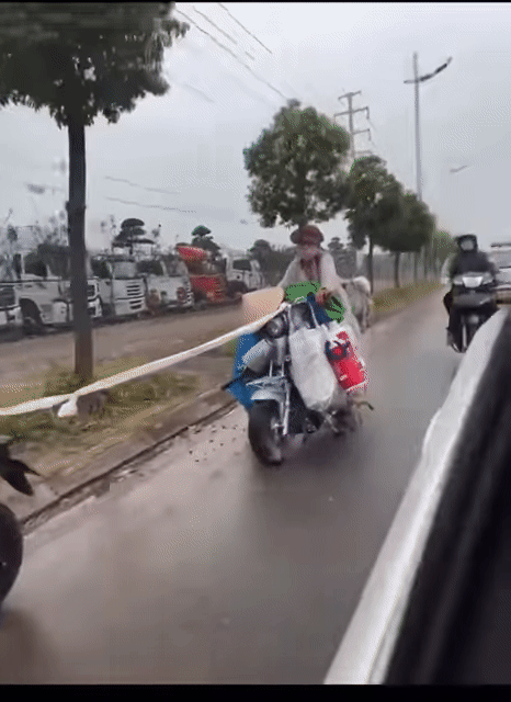 "Thánh quỵt" Bella lừa được trai trẻ kéo xe suốt dọc đường ảnh 3