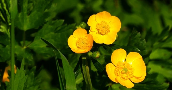 Mùa hè 2024: 3 tuổi bùng nổ kinh doanh, tiền đổ về như thác