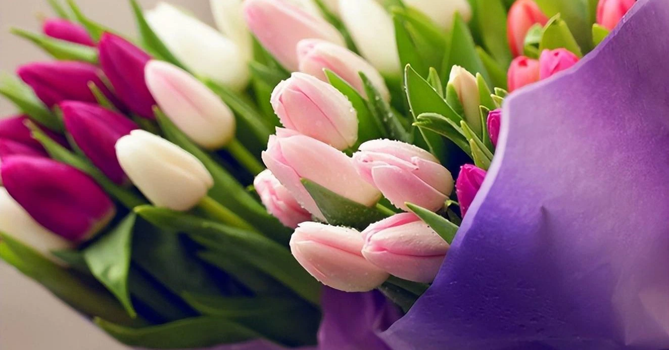 Tháng 11, 3 con giáp mở cửa đón tin vui, tài lộc đạt đỉnh