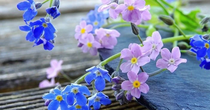 3 con giáp số sướng Trời ban, bắt trúng cơ hội, sự nghiệp phất