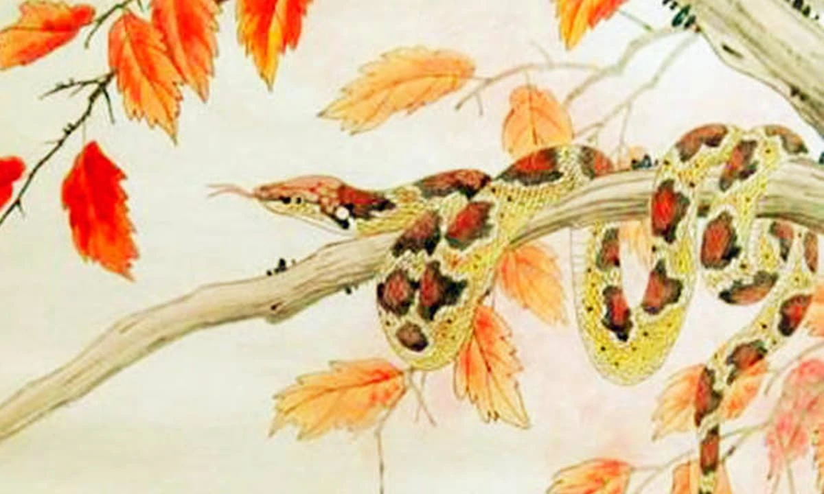 Tháng 1/2024, ba con giáp sẽ có cơ hội làm giàu đáng ngạc nhiên