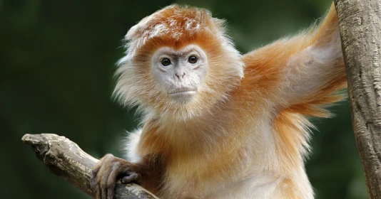 Sáng mai (8/10), 3 tuổi mở cửa đón lộc, 2 tuổi vấp đại hạn