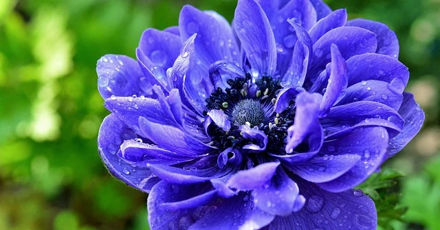 Ai sinh ngày Âm lịch này thì tài vận hanh thông, năm 2022 thăng quan