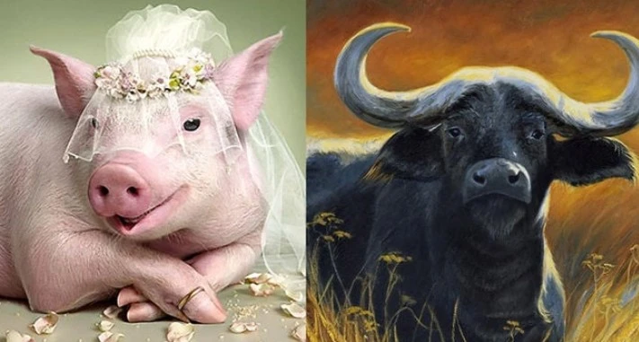 2 năm tới: 3 tuổi hết Tam Tai rũ sạch tai ương