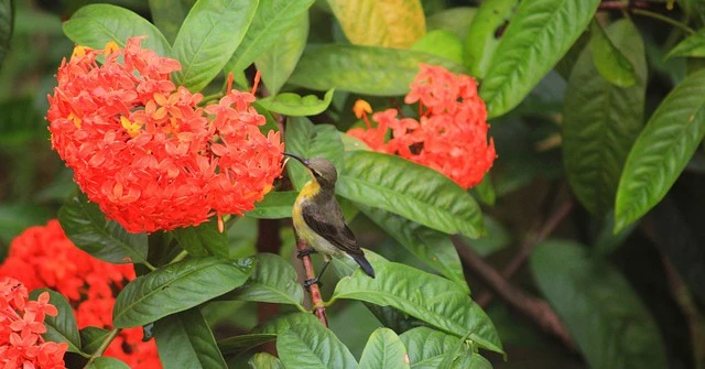 Năm 2022, 4 con giáp trải qua mùa hè sung túc nhất