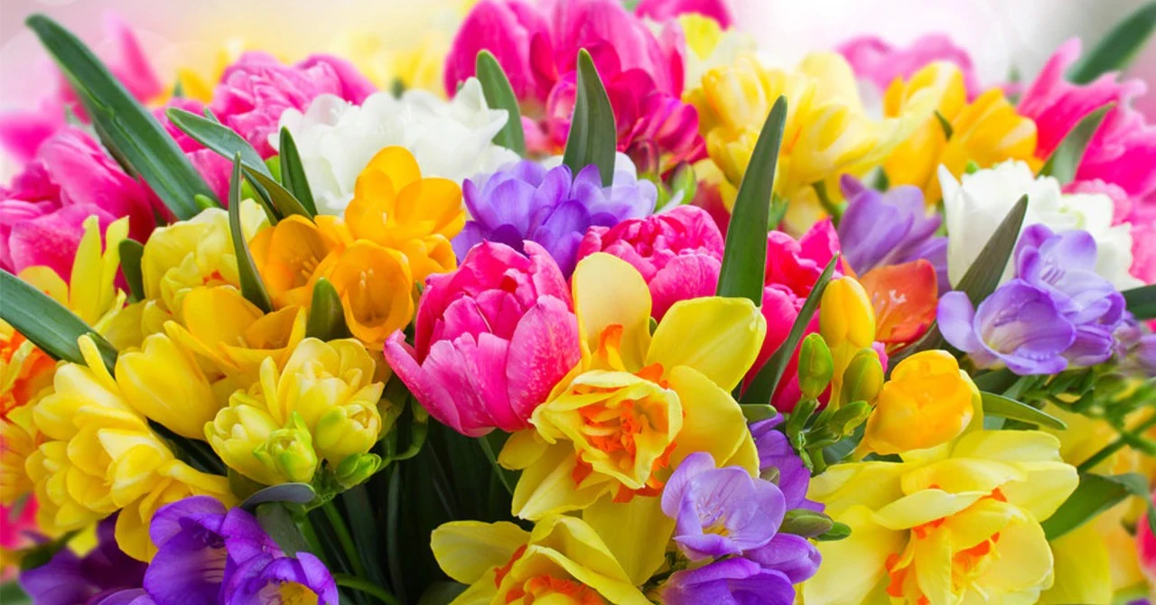 Cuối tháng 5/2022, 3 con giáp ra ngõ thấy vàng, làm đâu thắng đó 