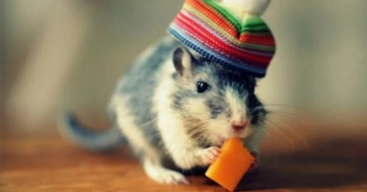 10 ngày đầu tháng 2 nhuận: 3 con giáp túi tiền rủng rỉnh