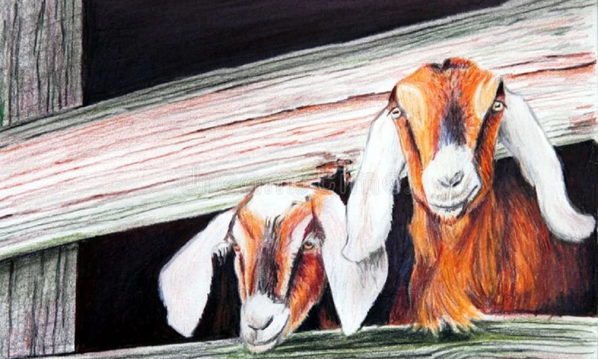 Nửa cuối tháng 8 dương, 3 con giáp tài vận bao quanh giàu khủng