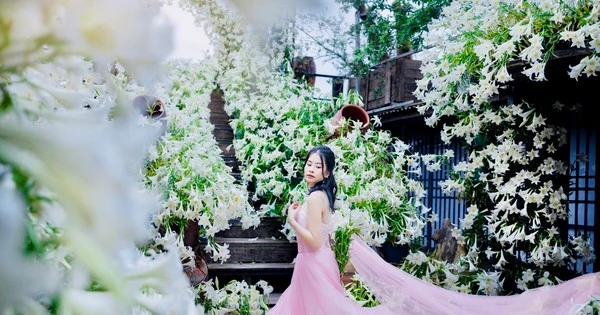 Thiếu nữ khoe sắc tinh khôi bên loài hoa tháng tư