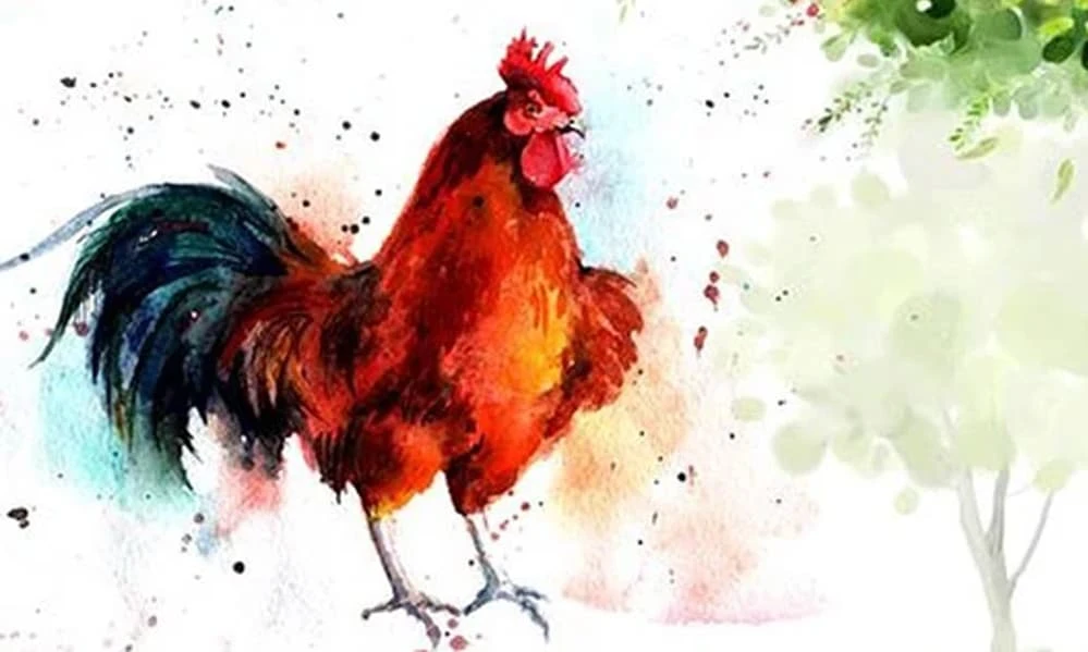 Cuối tháng 7/2022: Top con giáp gặt hái được nhiều thành tựu 