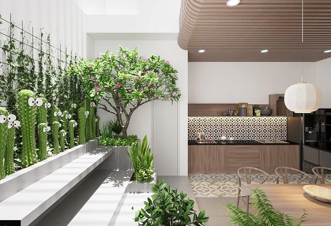 Nhà phố đưa ánh sáng và cây xanh vào nhà, khí tươi tràn ngập