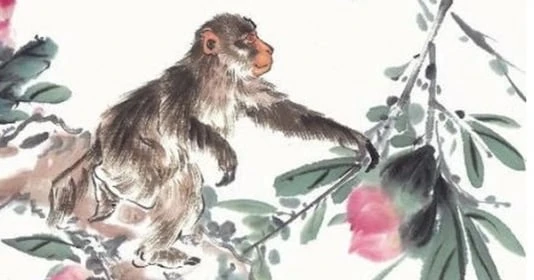 2 tuổi đại hạn năm Nhâm Dần: Vừa gặp Thái Bạch lại dính Tam Tai