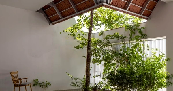 Mê mẩn căn nhà có cây xanh và lợp mái hiên bằng đất nung