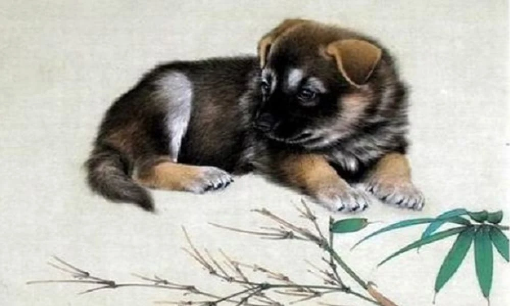 Tuần mới (1/8 - 7/8), 3 con giáp gặp đủ xui xẻo, tiểu nhân rình rập