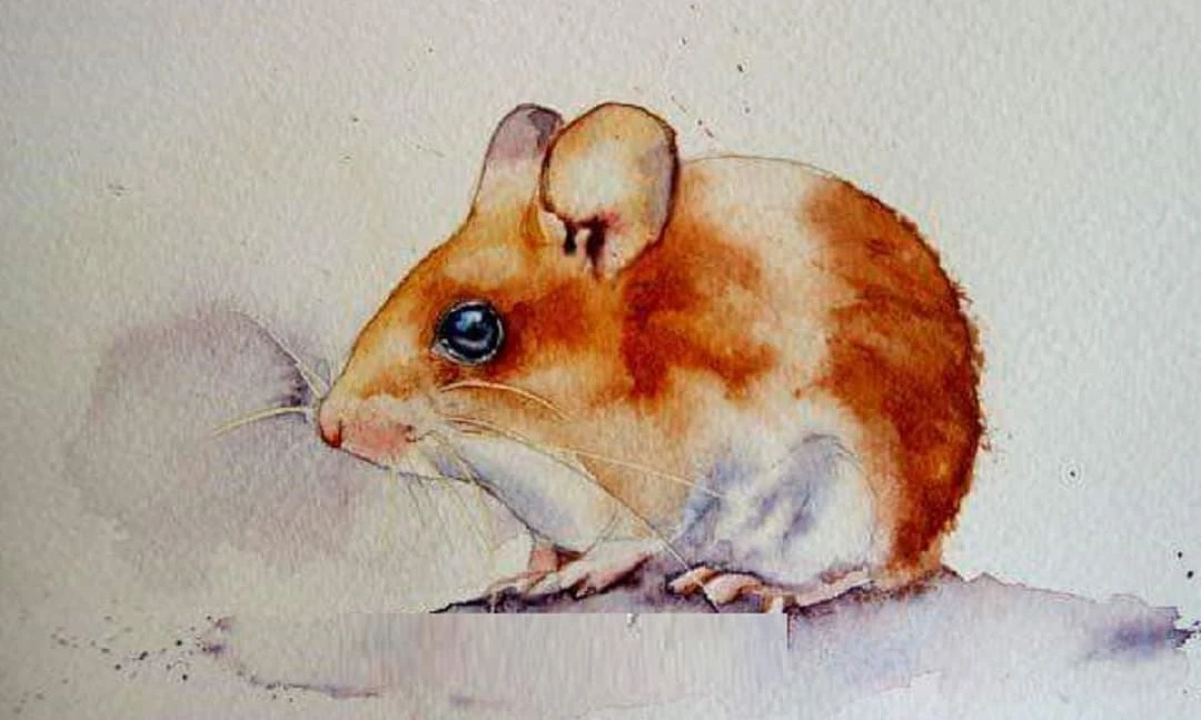 Soi 99 ngày tới, khám phá top 3 con giáp thuận buồm xuôi gió