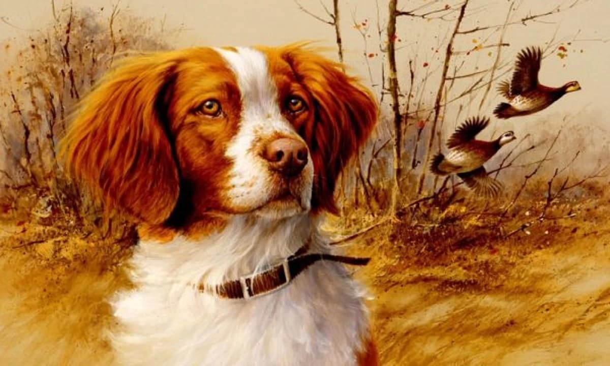 Top 3 con giáp phúc khí đầy mình, tài vận phất lên