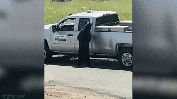 Chu gau tim cach dot nhap vao o to danh cap do an