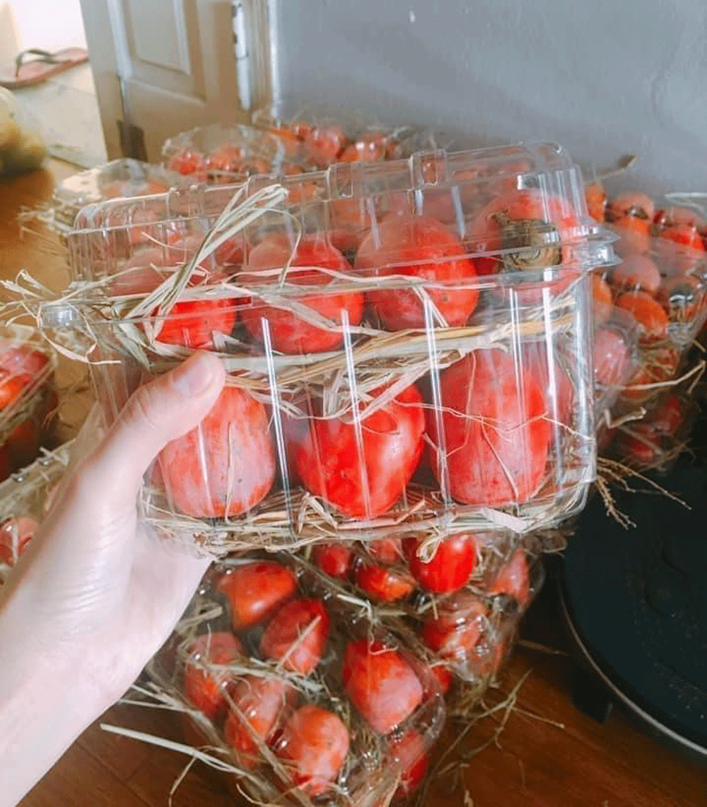 Hồng cổ đỏ như cà chua bi, dân Hà thành ồ ạt chốt đơn - Hình 3 Hong co do nhu ca chua bi, dan Ha thanh o at chot don-Hinh-3