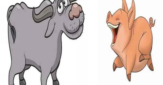 5 con giáp có năng lực vượt trội, từ tháng 6 gặp nhiều may mắn 