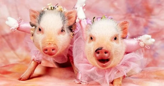 3 tuổi tiền vào như nước trong tháng 6 dương: 1 tuổi đại lộc