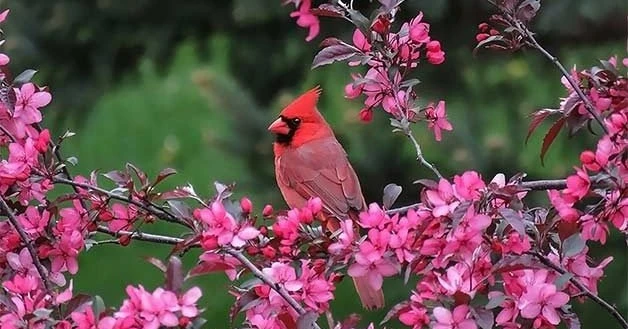 Ai sinh 3 tháng Âm lịch này nhân cách dễ mến, dễ hái thành công