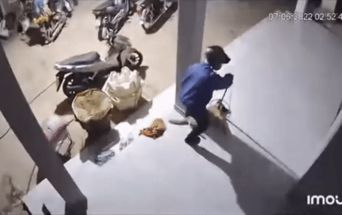 "Cẩu tặc" trộm chó chuyên nghiệp khiến nhiều người phẫn nộ ảnh 1