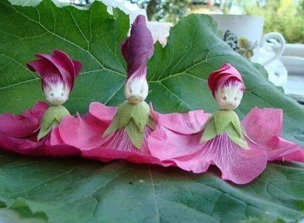 16 bức ảnh "xuất thần" từ ảo giác khuôn mặt 