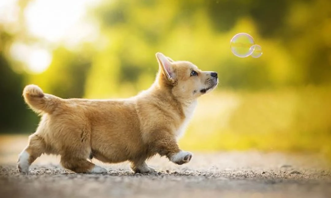 Tết dương 2022: 3 con giáp tay trái đón quý nhân, tay phải hứng tài lộc 