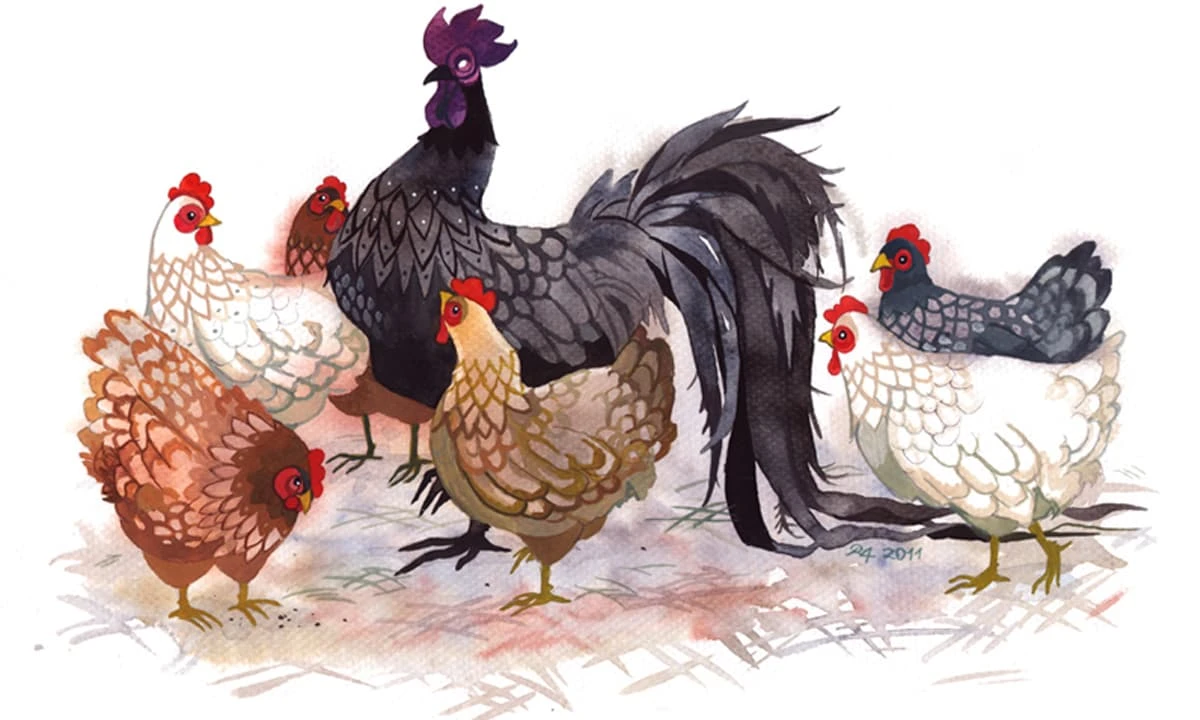 Nỗ lực hết mình, 3 tuổi này tài lộc rực rỡ suốt tháng 8 âm