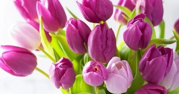 3 con giáp dũng cảm đối mặt thử thách, cuối tháng 4 hốt bạc