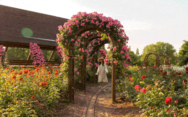 Sinh vào 4 ngày Âm nào phúc lộc dồi dào, "ngậm thìa vàng" từ bé? - Hình 2 Sinh vao 4 ngay Am nao phuc loc doi dao,