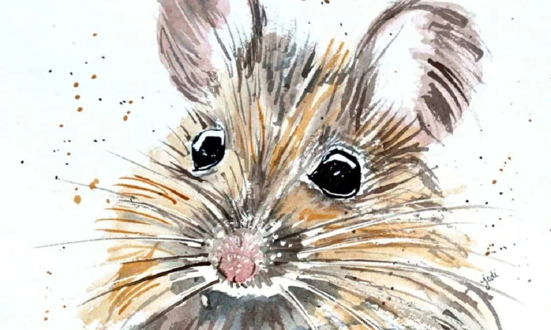 Tháng 5/2022: Thiên thời địa lợi, 3 con giáp công việc thuận lợi đủ đường