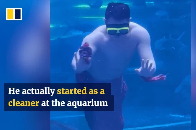 Chàng tiên cá mũm mĩm giữa thủy cung khiến người xem cười ngất