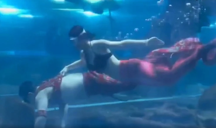 Video: Chàng "tiên cá" nổi tiếng nhất Trung Quốc