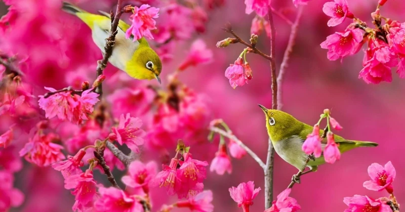 Từ giữa tháng 2, 3 con giáp phát huy tiềm năng, thu nhập dồi dào