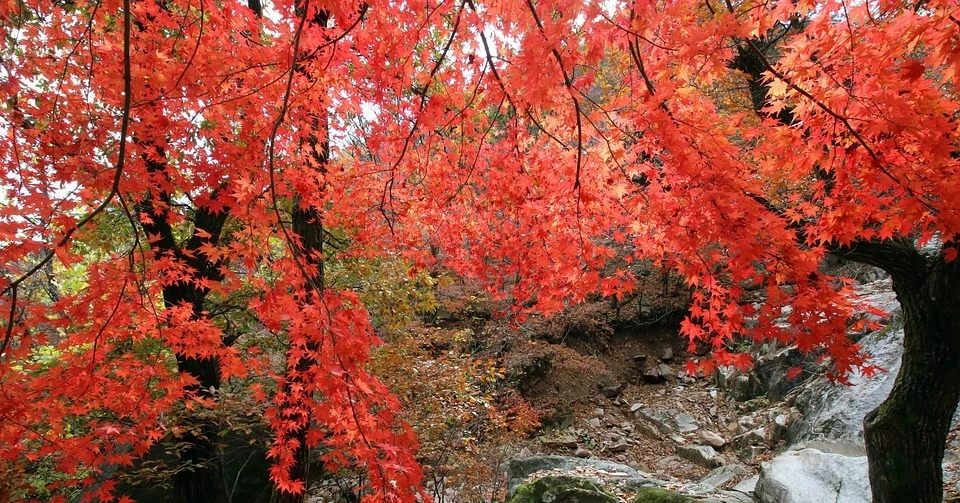 Năm 2022, 3 con giáp không có gì phải tiếc, tình tiền viên mãn