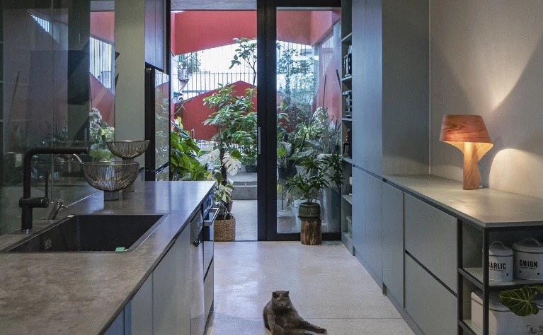 Nhà phố mặt tiền nhỏ ngõ sâu nhưng gây ấn tượng