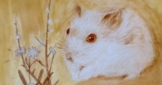 Sách Trời định, 3 tuổi hạn nặng nhất Quý Mão 2023 do gặp Tam Tai