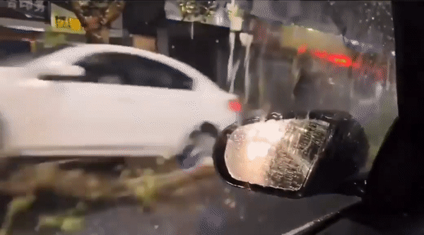 Lái xe thiếu quan sát, tài xế 'bốc đầu' ô tô qua thân cây Lai xe thieu quan sat, tai xe 'boc dau' o to qua than cay