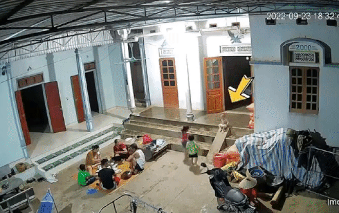 Phan xa cua chi gai cuu em nga ngua tren bac them